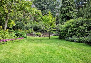 Optimiser l'expérience du jardin à Thuit-Hebert